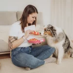 Pfoten auf der Waage: Warum Übergewicht mehr als ein ästhetisches Problem ist