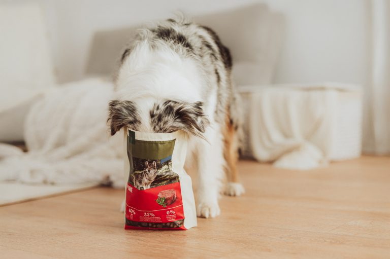 Ein Hund mit weichem Fell steht in einem Raum und steckt den Kopf in eine Plastiktüte mit Hundefutter darin